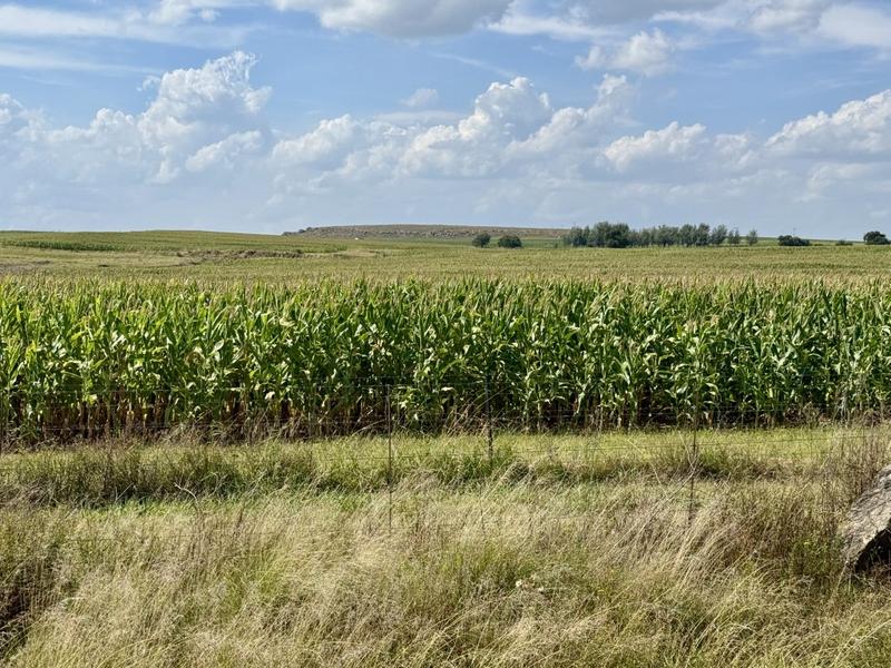 0 Bedroom Property for Sale in Harrismith Free State